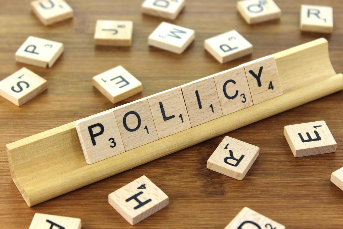 Chính sách là gì? Tìm hiểu về các loại hình và vai trò của chính sách chính sách là gì