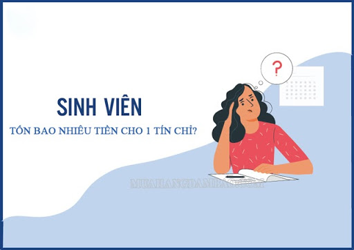 Tín chỉ là gì? Cách tính tín chỉ cho môn học ở đại học - Hệ thống giáo dục Việt Nam